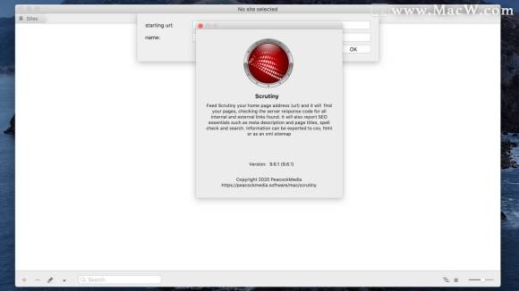 Scrutiny 9.6.2 MacOS 网站分析检测工具